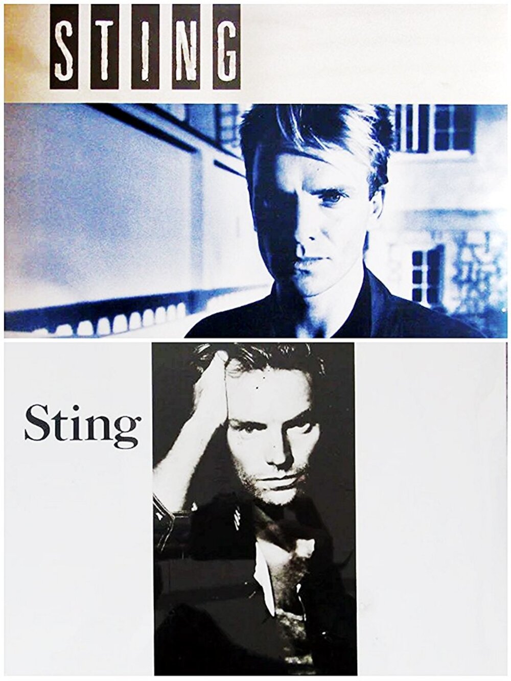 Lot Of 2 STING Vinyl Albums